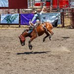 Rodeo, Cheyenne