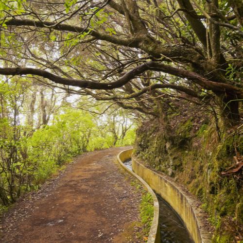 Levada da Serra, Madeira
