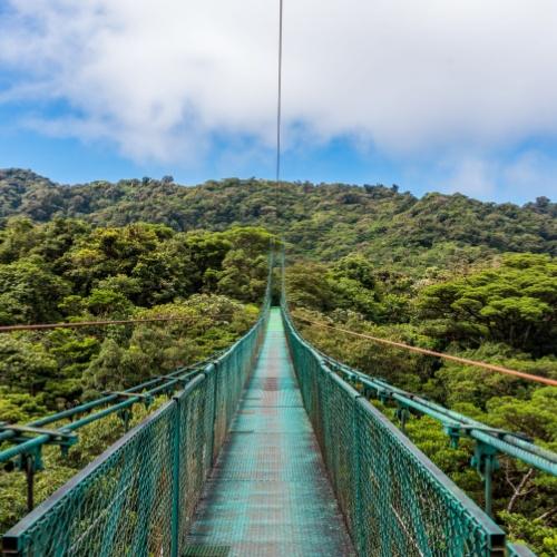 Hangbrug in Selvatura Park, Monteverde