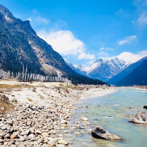 Yumthang Valley