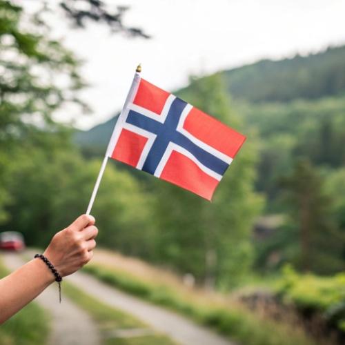 Vlag van Noorwegen 