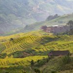 De rijstterrassen van Longji