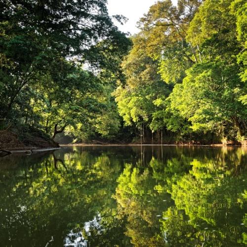 San Carlos rivier