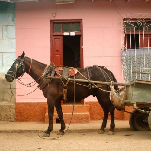 Cuba, paard en wagen