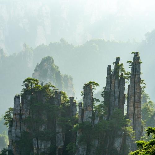 Berglandschap van Zhangjiajie