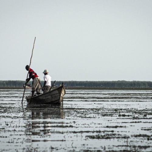 Lokale vissers in Semliki