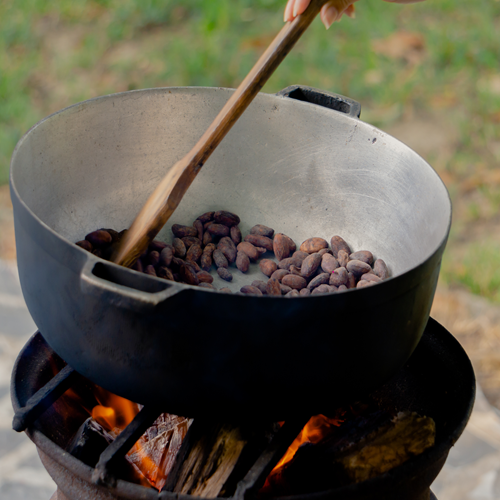Cacao en Caoba tour