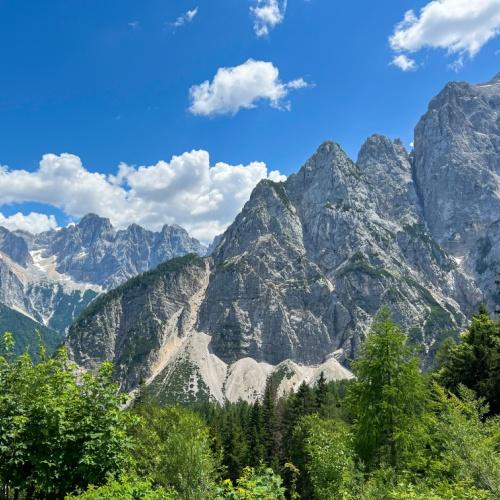 Vršč-pas