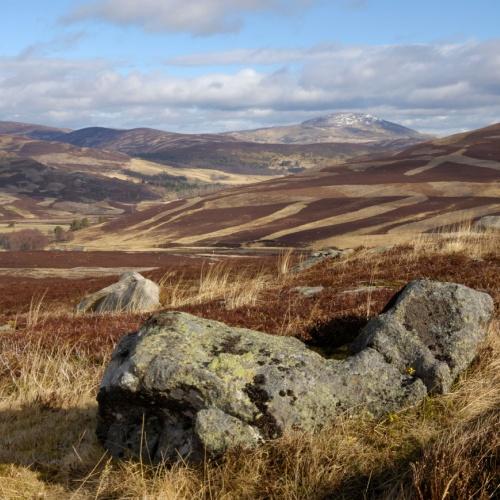 Cairngorm Nationaal Park