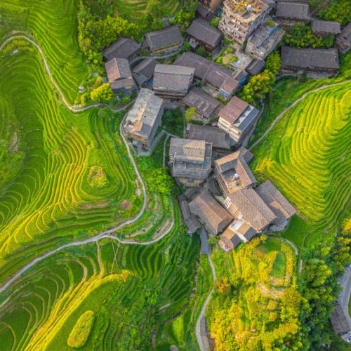 Longji, Rijstterrassen