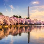 Washington D.C.