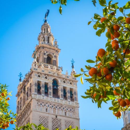 Giralda Sevilla