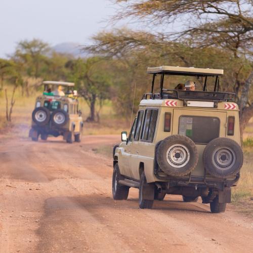Safari Auto, 4x4
