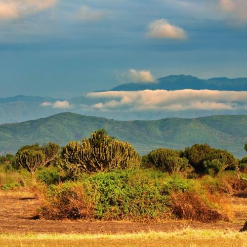 Queen Elizabeth NP, omgeving