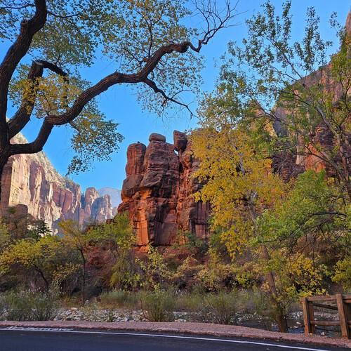 Temple of Sinawava shuttle stop, Zion Nationaal Park