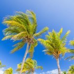 Varadero