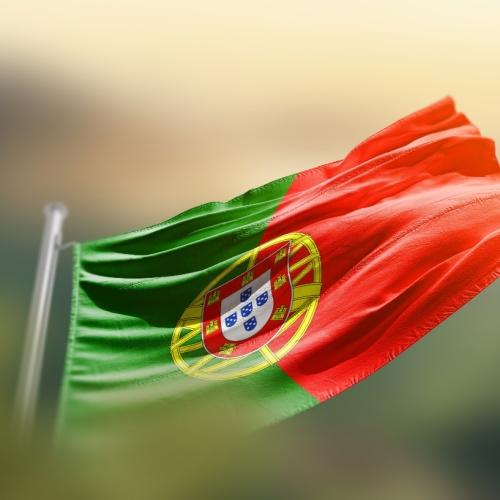 Portugese vlag 
