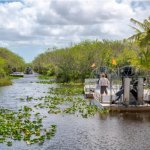 Everglades, Florida