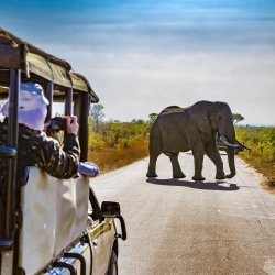 Het Kruger Nationaal Park
