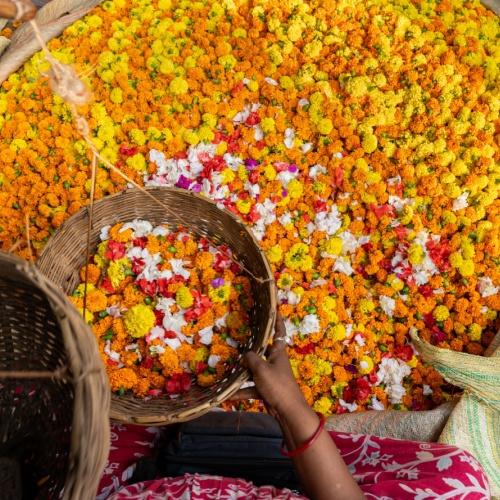 Straatverkoper van bloemen, India