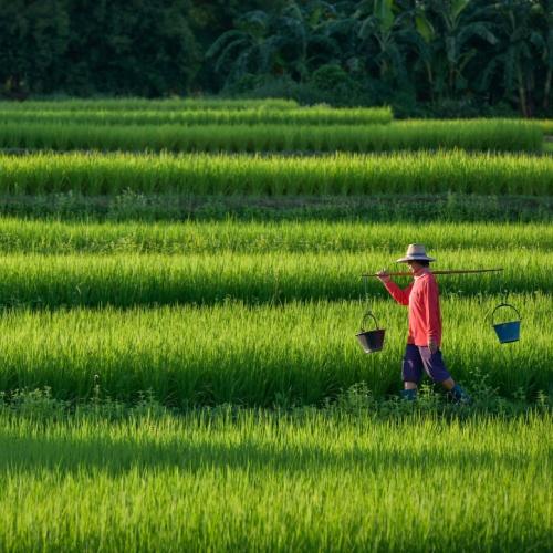 Boer aan het werk in Longji