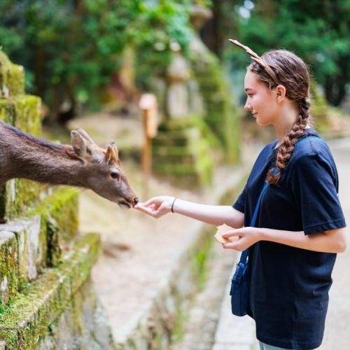 Een meisje en hert in Nara