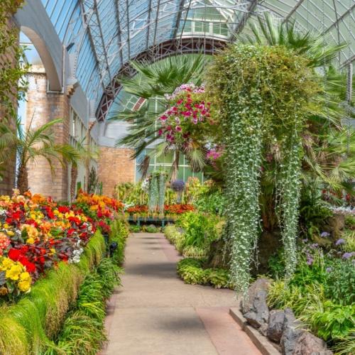 Wintertuin in Auckland
