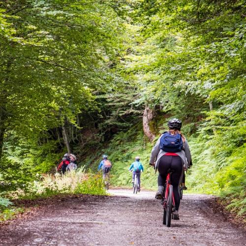 Fietstour