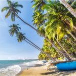 Strand van Phan Thiet met palmbomen