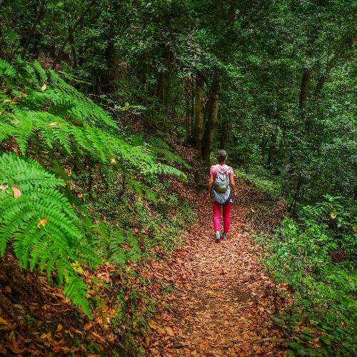 Wandeling door Park Galicica