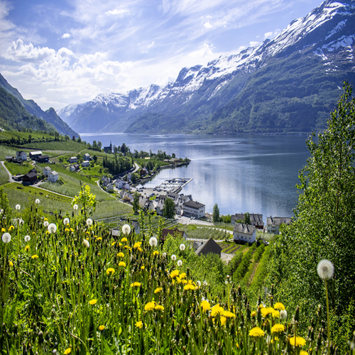Hardangerfjord omgeving