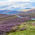 Schotland Cairngorm National Park