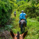 Paardrijden Monteverde