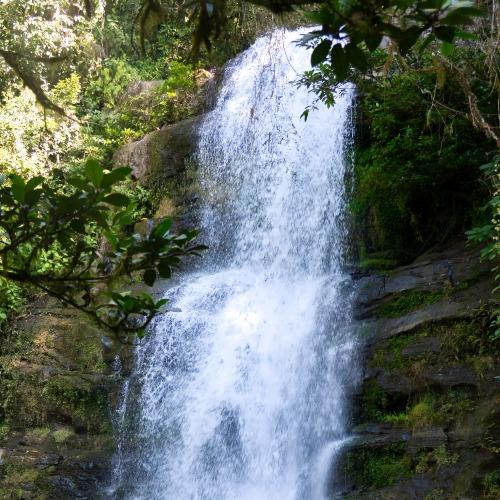 Ranomafana NationaalPark waterval