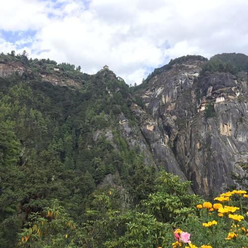 Omgeving Tiger's Nest
