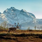 Noorwegen