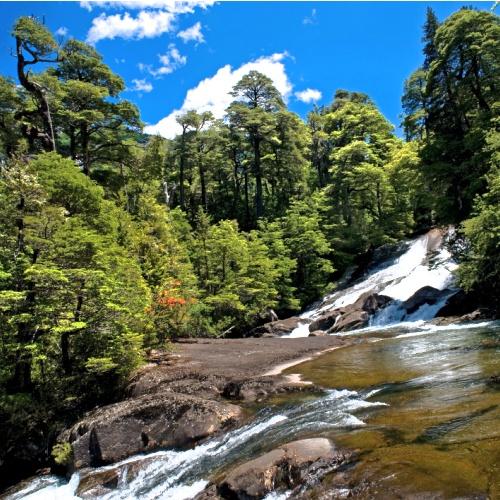 Puerto Blest, Los Cantaros waterval
