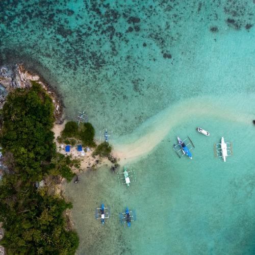 Snake Island