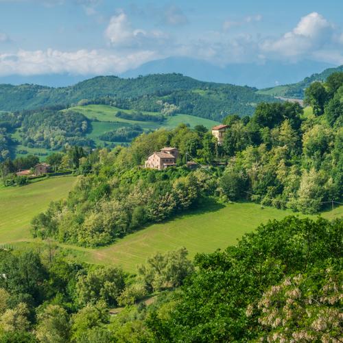 Montefeltro