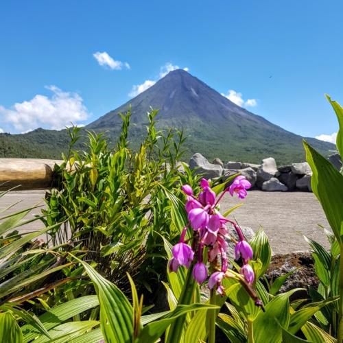 Arenal vulkaan in La Fortuna