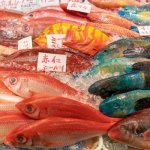 Japanse vismarkt