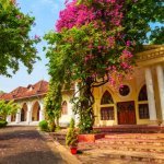Cochin museum