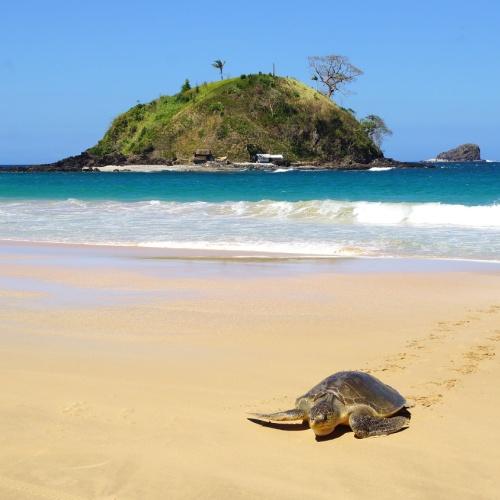 Nacpan Beach, Palawan
