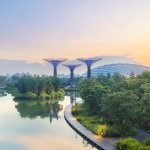 Gardens by the Bay Singapore