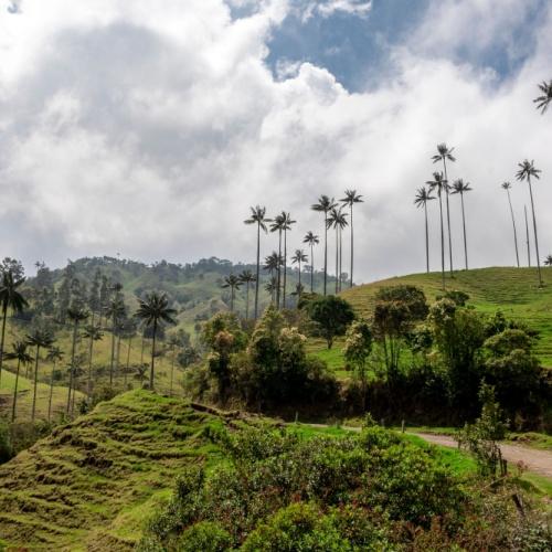 Salamina Vallei, Colombia