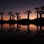 Reizigersfoto Madagaskar