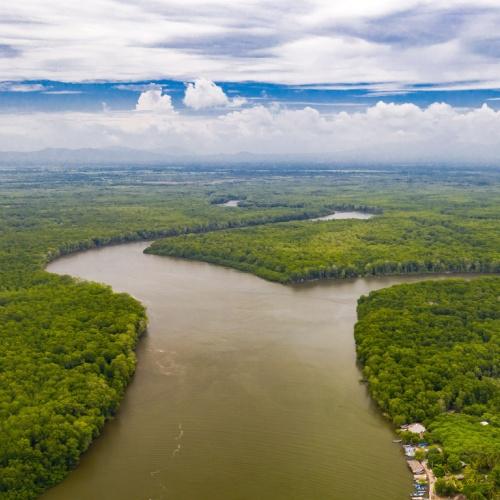 Estero de Jaltepeque