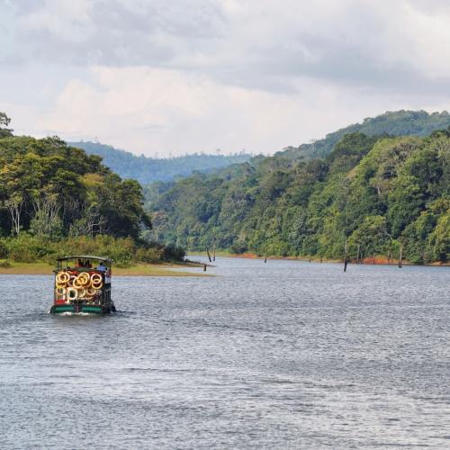 Boottocht in Periyar Nationaal Park