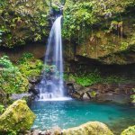 Emerald Pool, Morne Trois Pitons National Park