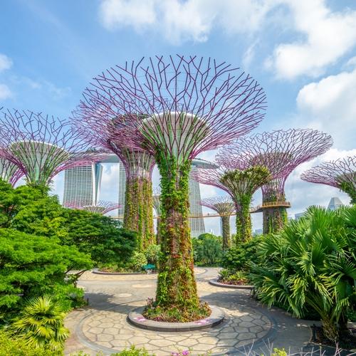 Gardens by the Bay